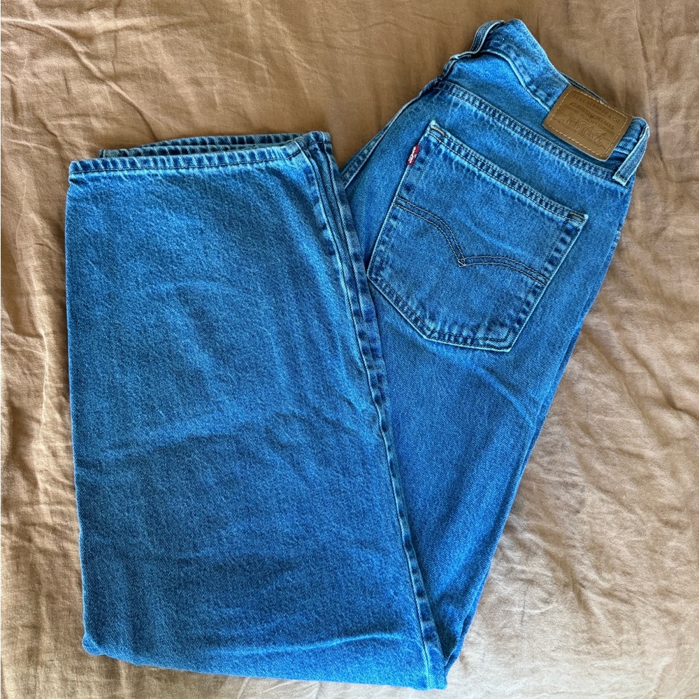 Levi’s Baggy Dad Jean in color “Hold My Purse” - 28x32